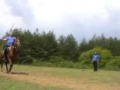 Horseback archery Bulgarian Kassai School Practise