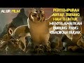 PERTEMPURAN ANTAR BURUNG HANTU || Alur cerita film Legend of the Guardians: The Owls of Ga'Hoole