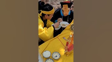 Thầy Pháp TROLL Cương Thi #bnk #shorts #Thienan | BNK Entertainment