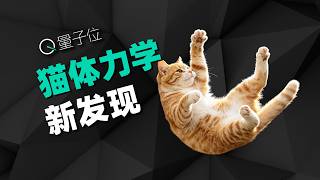 猫咪为何总是四脚着地？这问题居然研究了300年