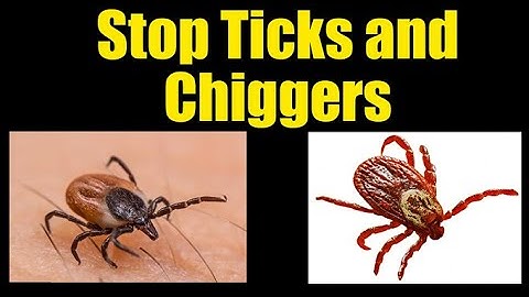 Prevent Ticks and Chiggers on Body and Yard