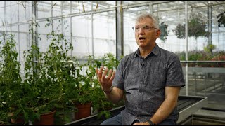 #OrganicDelivers | Teaser #1 to Episode 1 - Innovation in plant protection: Organic breeding