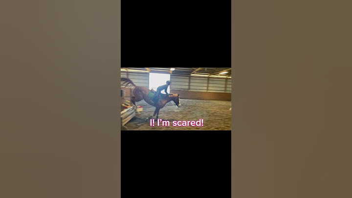 Hoe het voelt om van een paard te vallen… || #fail