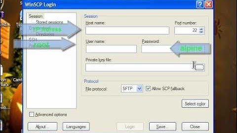 How to put Cheats On Pokemon Emerald Ipod / Iphone (GPSPHONE)