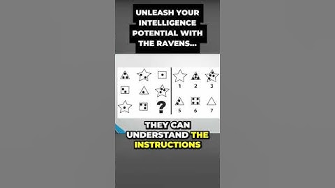 Jordan Peterson Unveils the Intricacies of the Raven