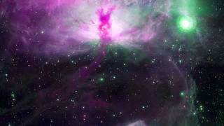 Stamski - Space Bugs
