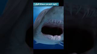 كيف تنجو من سمكة قرش #shark