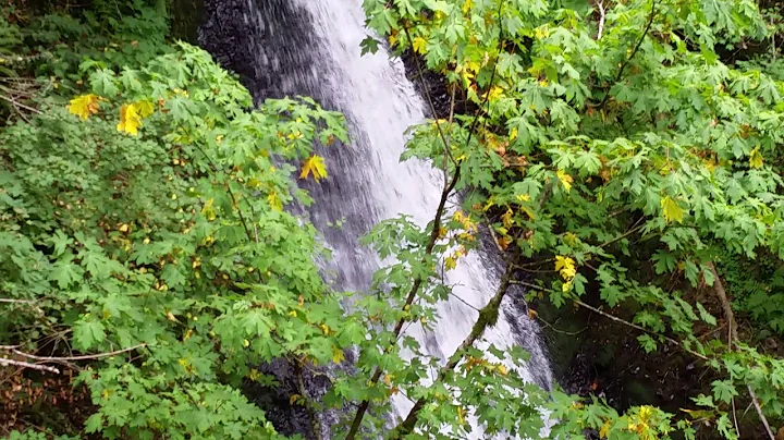 Shepperds Dell Falls, Oregon - August 12, 2017 - T...