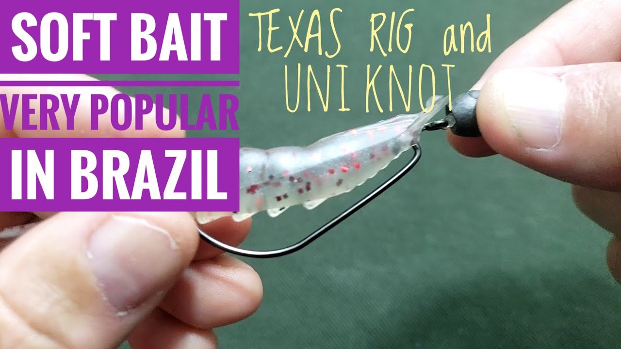 The Uni Knot and texas rig, using soft shrimp bait. Snook Fishinhg. 