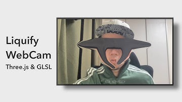 Liquify Web Camera / Three.js & GLSL