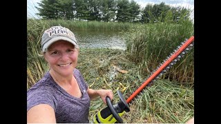 Realtor Clears Pond Cattails Herself to Sell Property