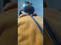 مبغيت فلوس مبغيت دنيا__رضك امي ره عطاني وشحال دحية انا كياني2022 mp3
