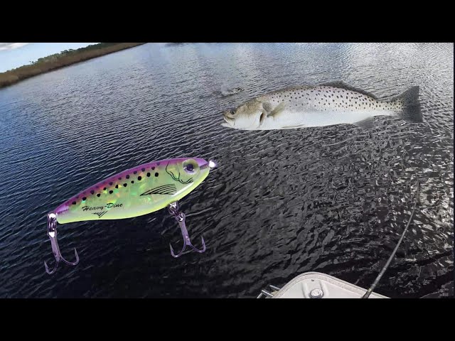 Targeting Speckled Trout around LEDGES and DEEPER water (MirroLure MR18  Heavy Dine MG) 