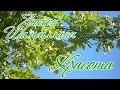 Красота. Люсьен Шамбаллани. Альбом Позитив красоты природы