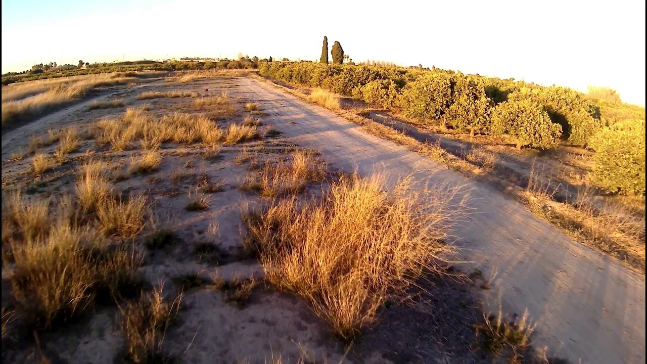 Furibee DarkMax Speed Sensation