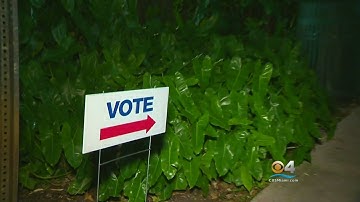 Voters Take Advantage Of Early Voting In Dade, Broward