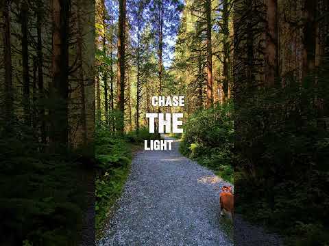 Life Mirror Your Mindset