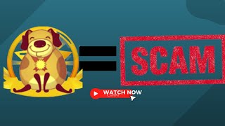 Shiba Tobi Token (Honest) Review: Legit or Scam