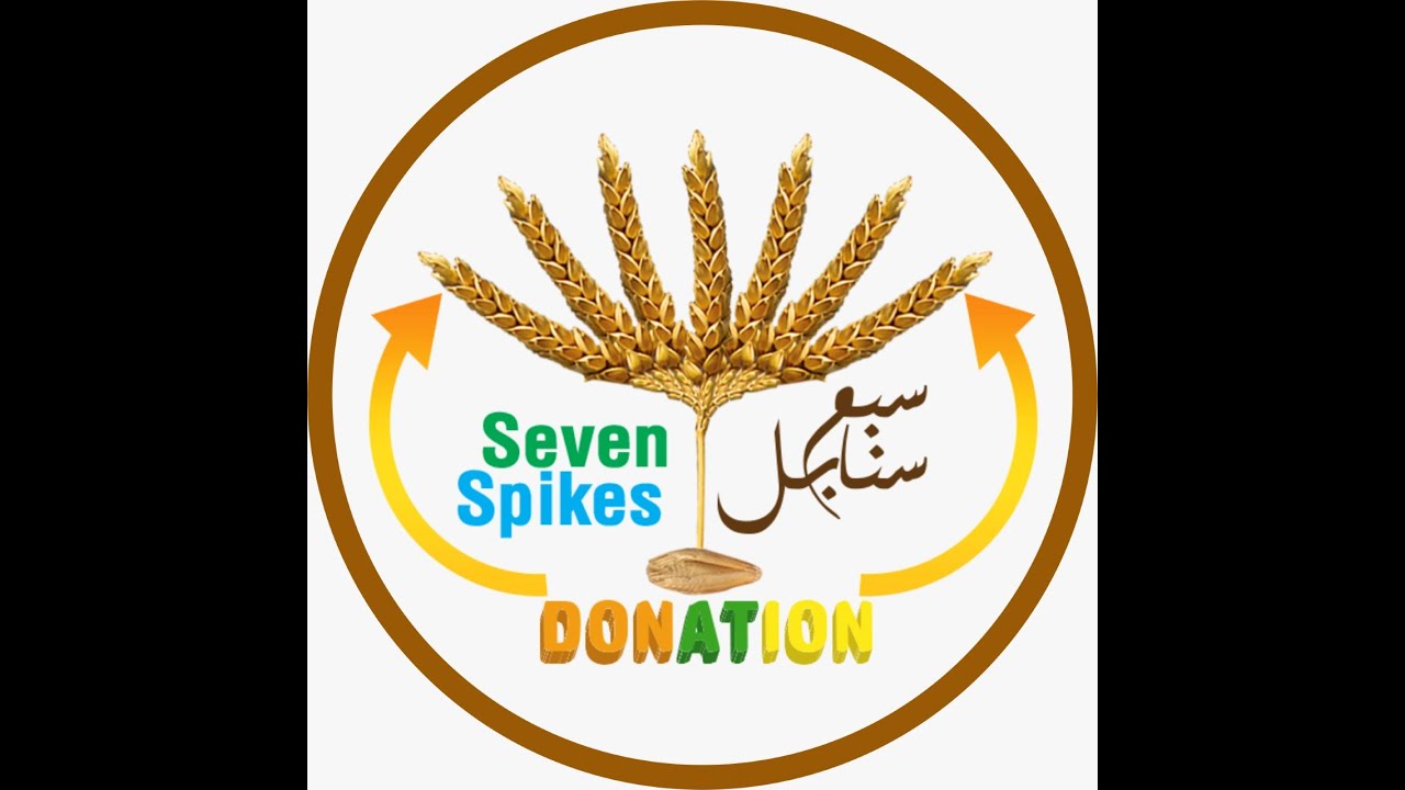 Reward Of Giving And Meaning Of Seven Spikes YouTube