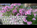 봄빛가드닝- 한번 정원에 심으면 해마다 꽃구경하는 노지월동 화초를 소개합니다!!!/가드닝/정원꾸미기/정원가꾸기 Mp3 Song