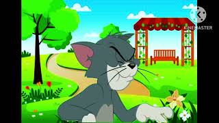 Tom And Jerry Cartoon Video 