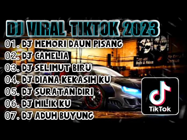 DJ TIKTOK TERBARU 2023 • DJ MEMORI DAUN PISANG FULL BASS | DJ REMIX ALBUM KENANGAN MALAM MINGGU class=