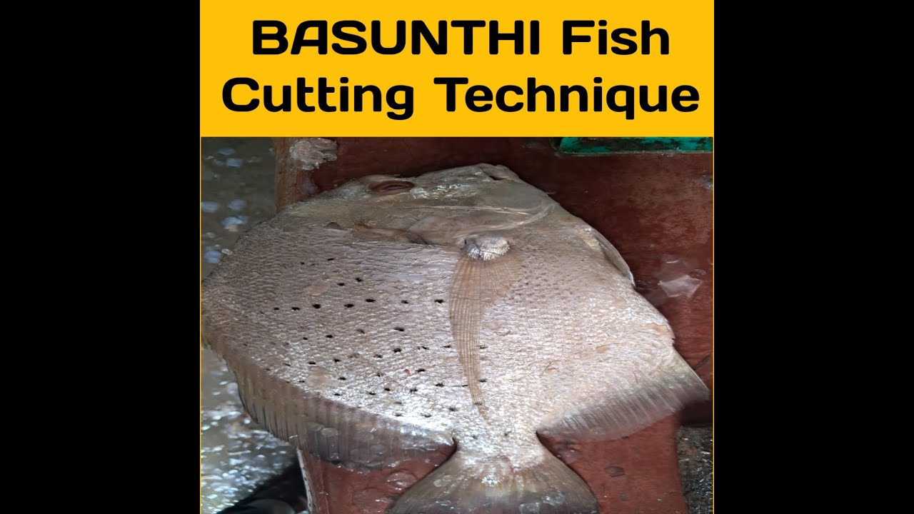 BASUNTHI FISH ( Rava Fish) CUTTING BY EXPERT FISH CUTTER - SOUTH INDIAN ...