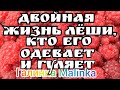 Колесниковы /Двойная жизнь Леши/ Кто его одевает и гуляет? /Обзор Влогов /