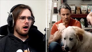 Home Free's CUTEST Video EVER! Brand Manager Reaction/Analysis: 