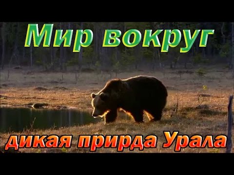 Дикая природа России. Первозданные долины. Урал. Документальный фильм. National Geographic