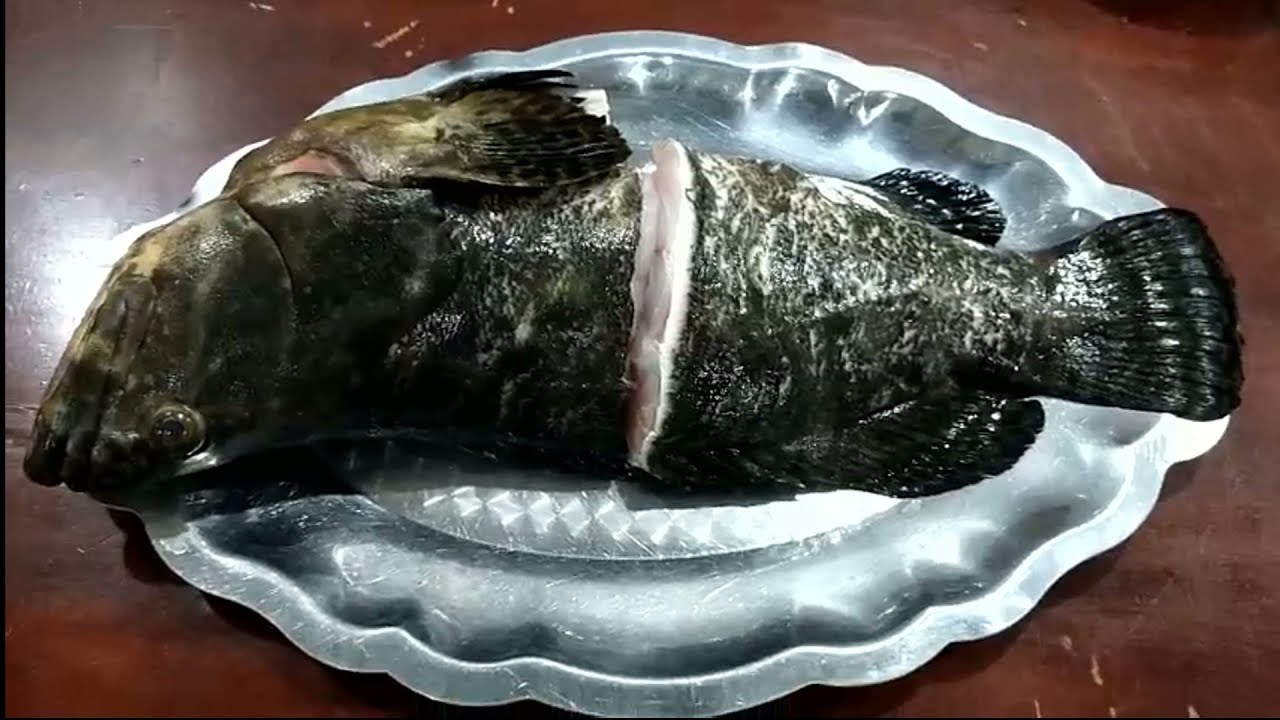 Cách làm cá bống mú hấp xì dầu ngon đúng điệu