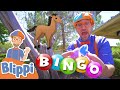 Playing BINGO With Blippi - Learning Farm Animals For Kids | Educational Videos For Kids