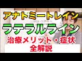 アナトミートレイン筋膜ライン の手技・使い方・ストレッチの必要性