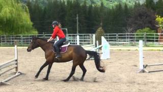 Quemela jumping