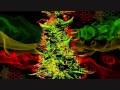 Highgrade reggae mix for ganja smokers 2015 by highgrade riddims