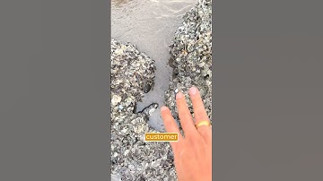 Salesforce Security: The Hidden Leak You