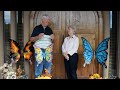 Carol's butterflies