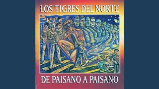 Video thumbnail of "Los Tigres Del Norte - Necesito Mi Libertad"