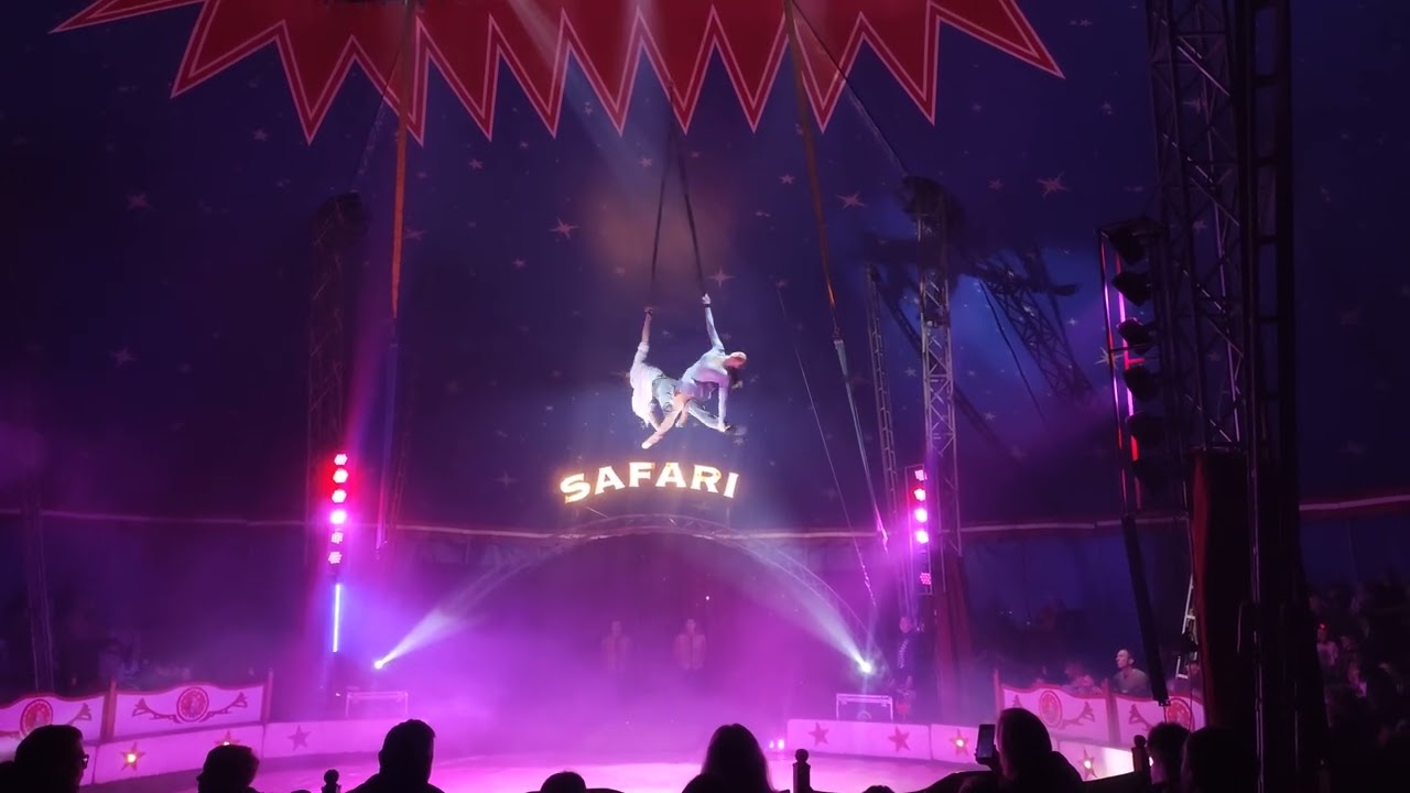 Cyrk Safari 2026 - sztrabaty