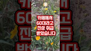 60대는 카페 진상인가요? #노후사연 #노후라디오 #썰라디오사연