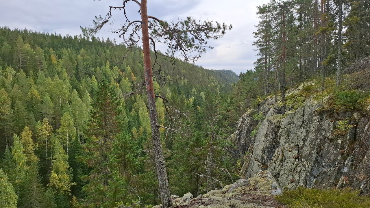 PAHAKALLIO: SEIKKAILU KOLVANANUUROSSA