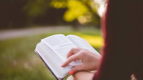 Introduction to Biblical Studies