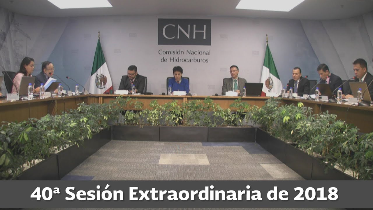 Resumen 40ª Sesión Extraordinaria 2018 cnhl