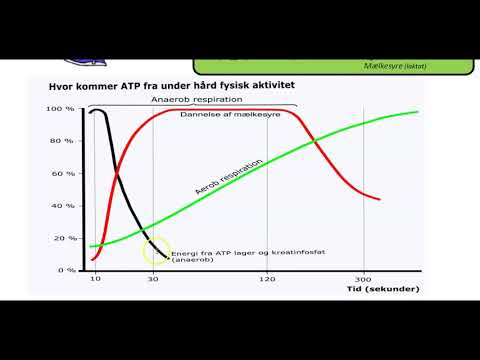 Video: Pylorisk Sfinkter: Placering, Diagram, Struktur Og Dysfunktion