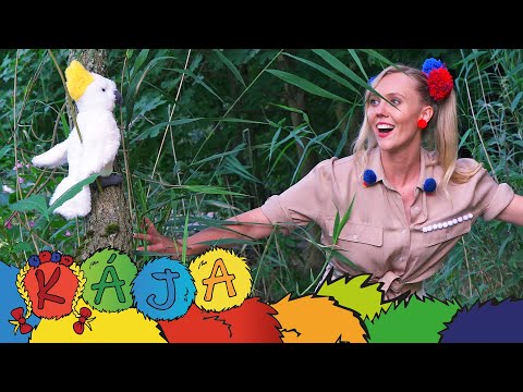 Video: Kakadu Ja Kakadu Erinevus