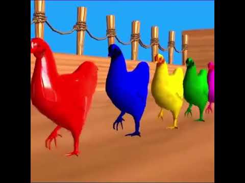 Video: Pollo Delizioso Eh