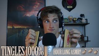 Hour Long ASMR for People Who Can't Get to Sleep  (Sheep #2)