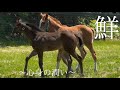 【第5グループ】　永遠の友になりそうな勢い☀️☀️