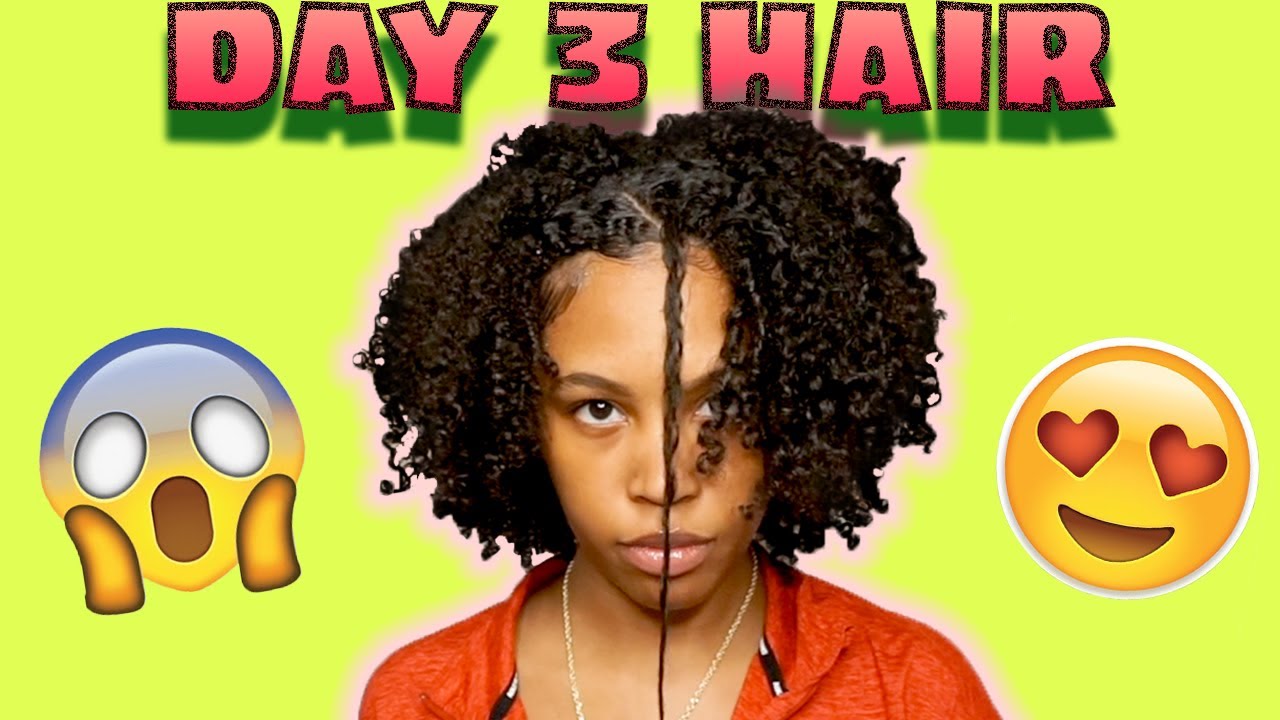 *EASY* How To Refresh A Wash and Go | DAY 3 Hair | iamsaekomarley