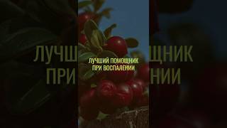 Ягоды, которые помогут с воспалениями #нутрициология #нутрициолог #натуропатия #ягоды #воспаление